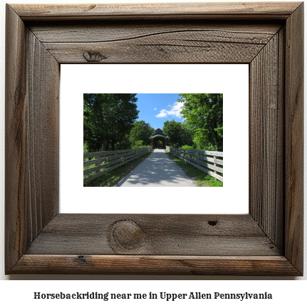 horseback riding near me in Upper Allen, Pennsylvania